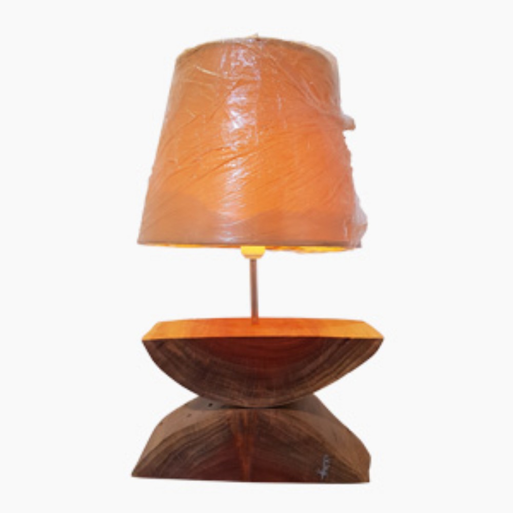 Light Half Moon Lamp