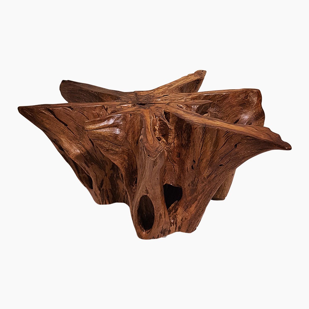 Octopus Coffee Table