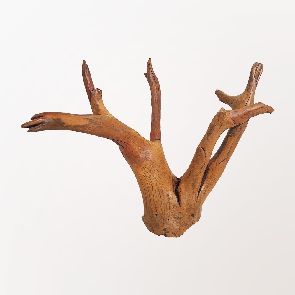 Escultura Chifre de Alce